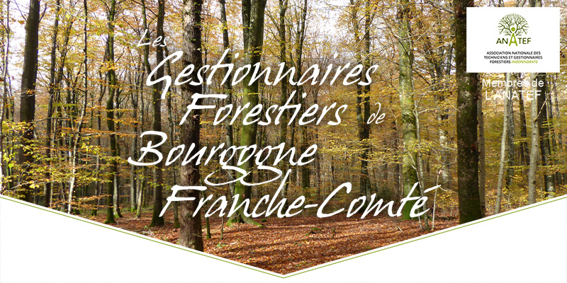 (c) Gestionnaires-forestiers-franchecomte.com